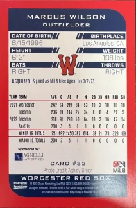 Back of a WooSox Team Player Baseball Card Sponsored by Agnelli Law